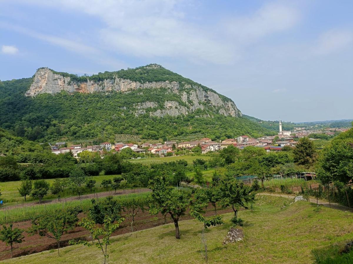 Boutique Apartment Alla Dolce Vita Vicenza Ngoại thất bức ảnh